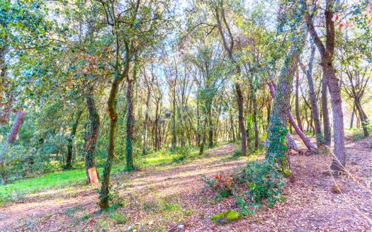 Chalet de 7.277m2 en l’olivet, Sant Gregori (GIRONA)